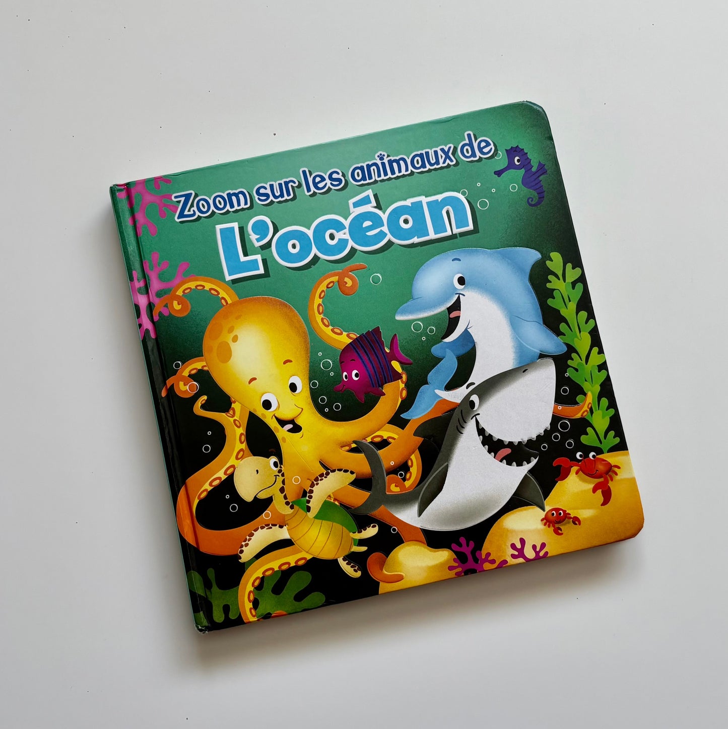 Livre cartonné - Zoom sur les animaux de l'océan