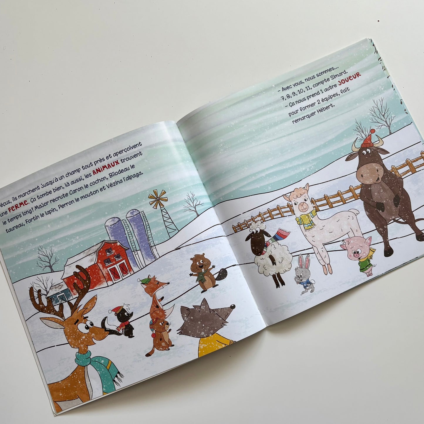 Livre - Et si on jouait au Hockey?