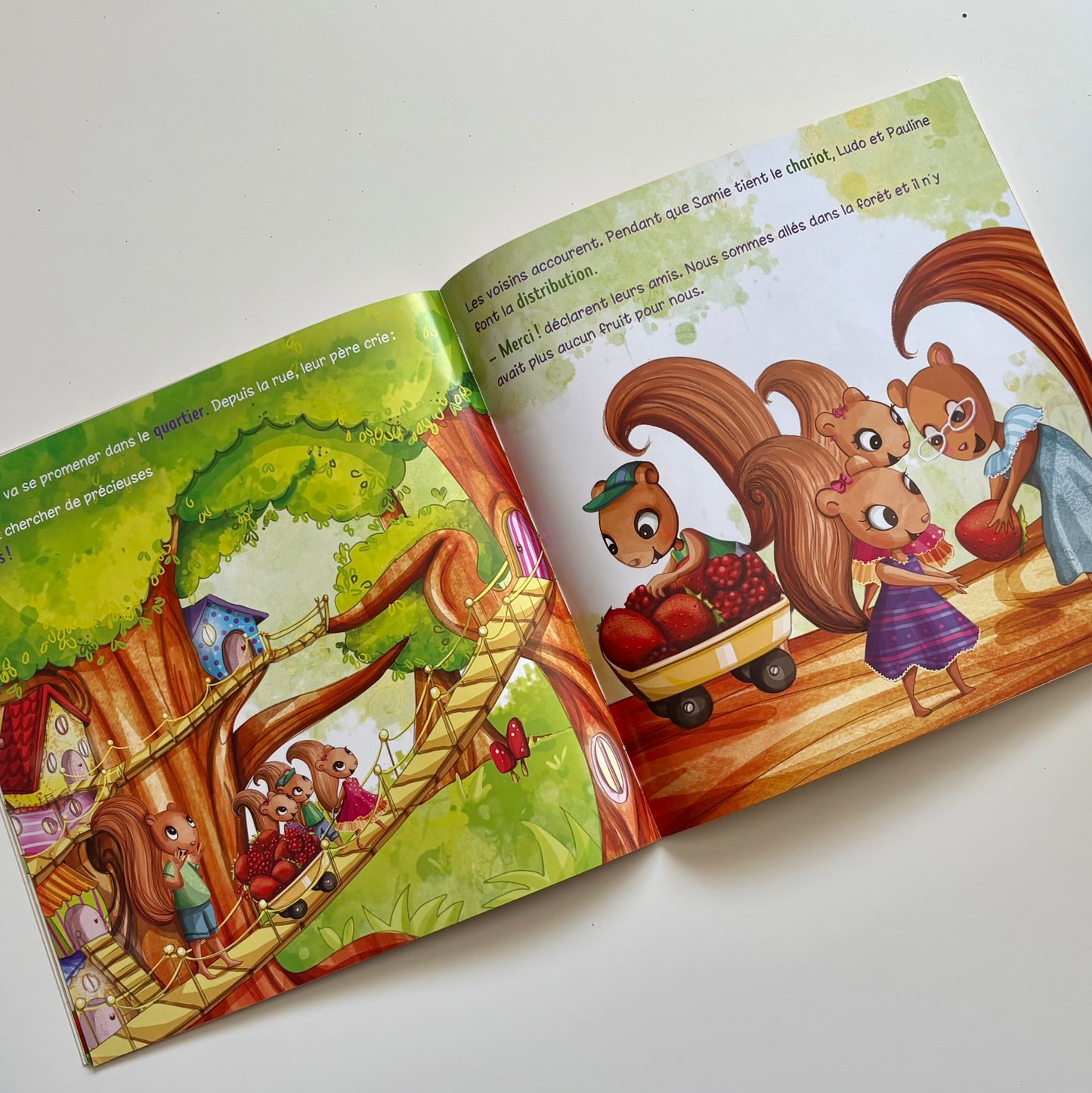 Livre - Une montagne de fruits