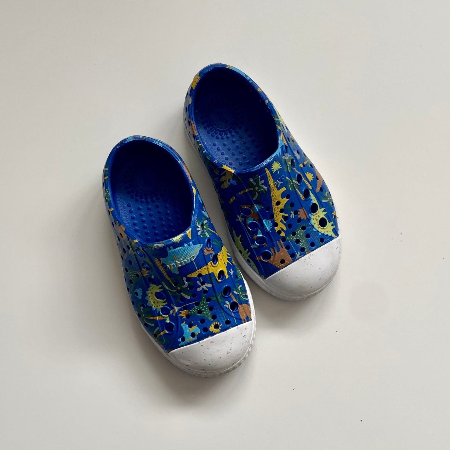 Native ' édition spéciale dinosaures ', Taille C6 (NEUF)