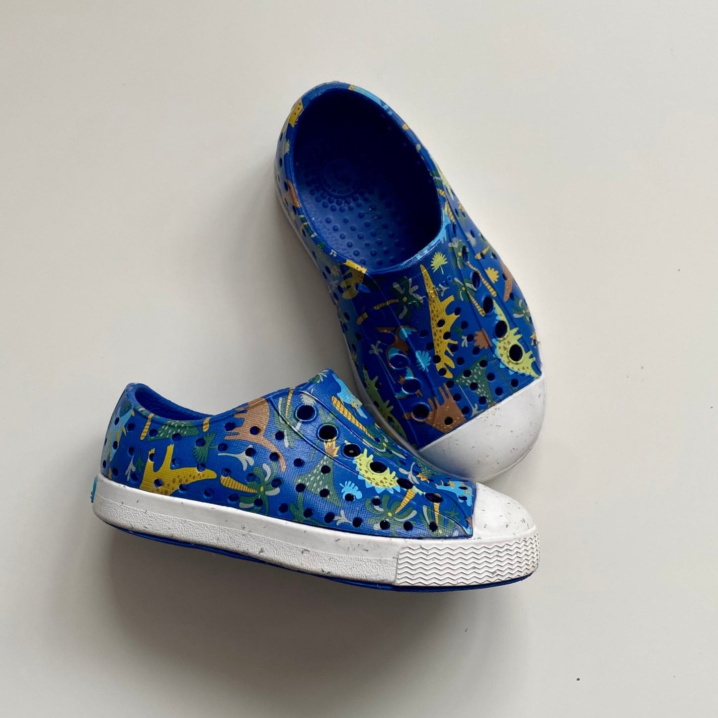 Native ' édition spéciale dinosaures ', Taille C6 (NEUF)