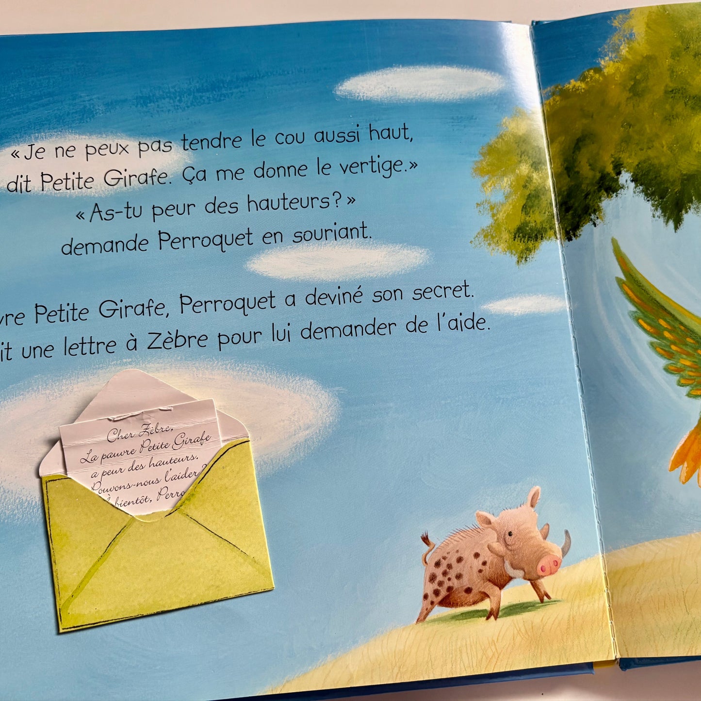 Livre - Petite girafe a peur des hauteurs