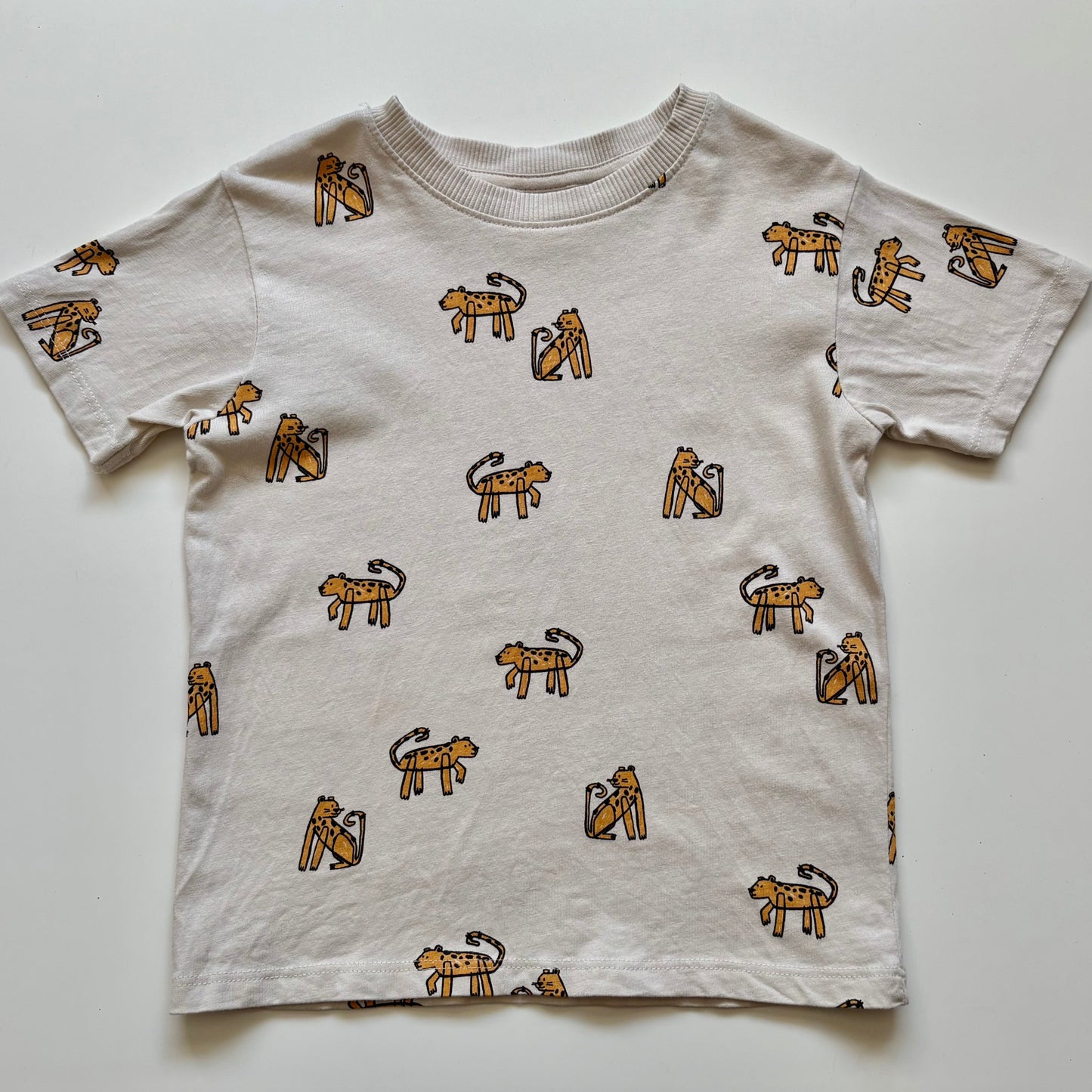 T-Shirt Zara | 2-3 ans