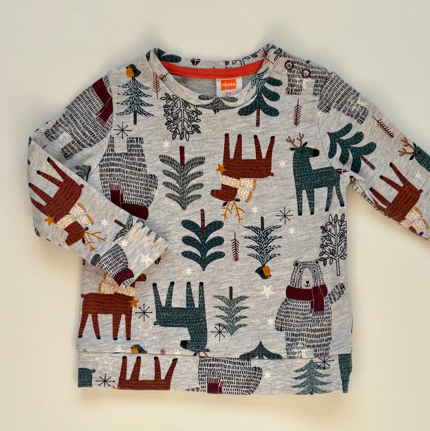 Chandail HEMA | 9 mois