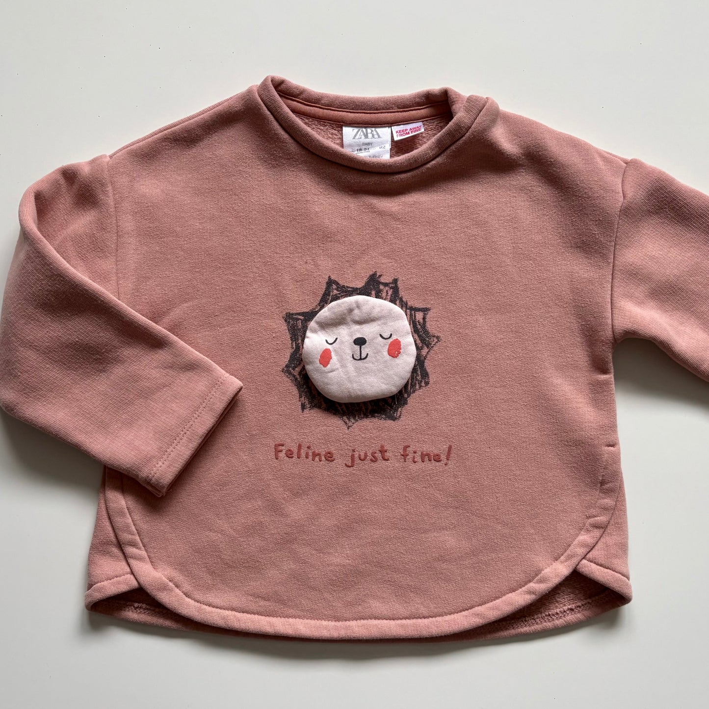 Pull Zara | 18-24 mois