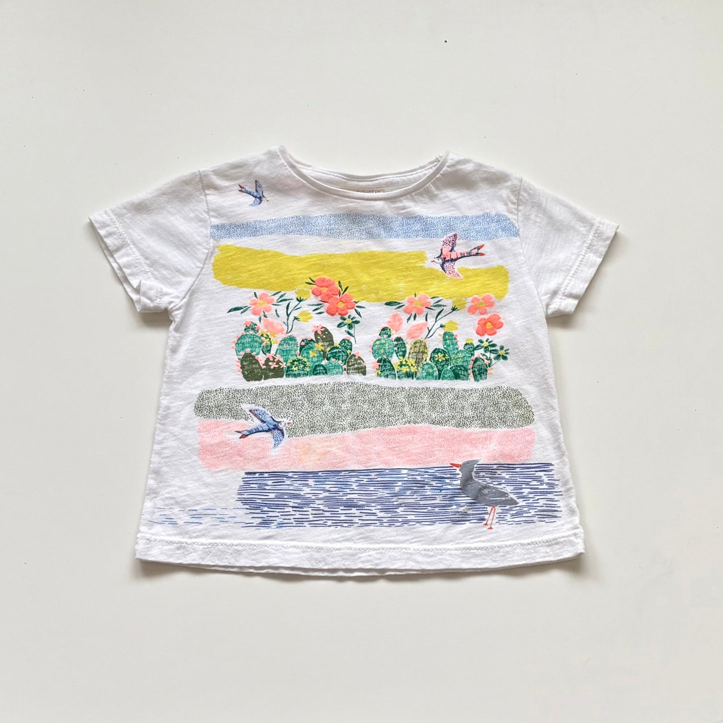 T-Shirt Zara | 3-6 mois