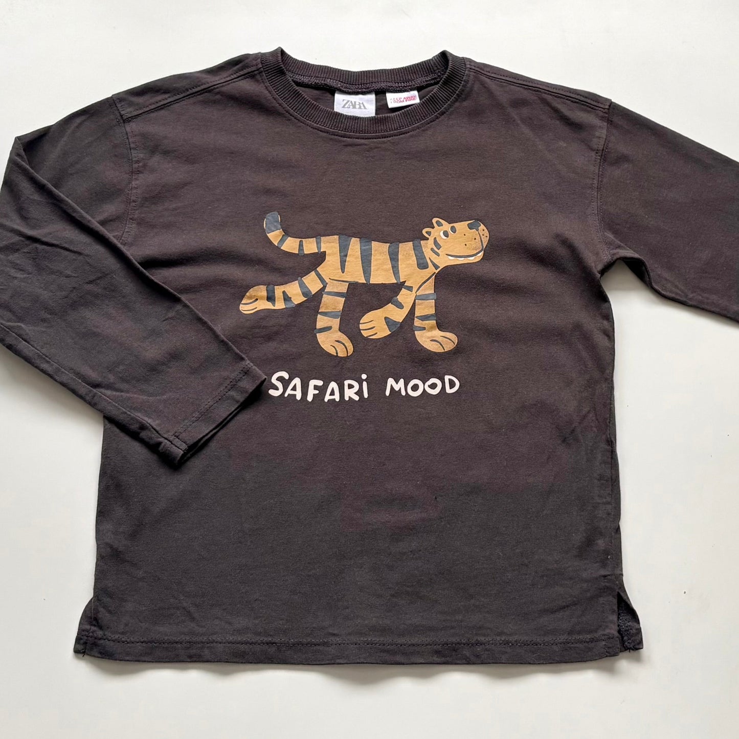 Chandail Zara | 4-5 ans