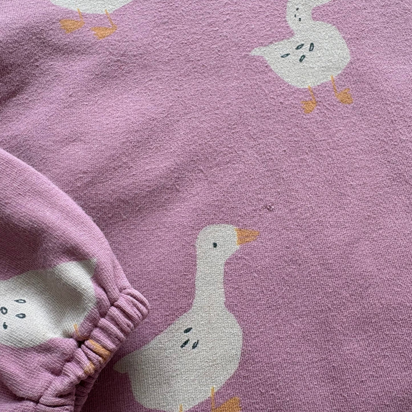 Hoodie Souris Mini | 18-24 mois