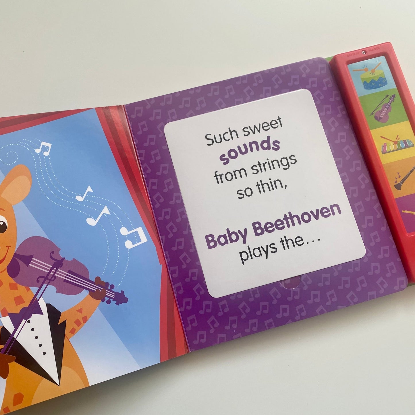 Livre sonore - Baby Einstein : What do you hear? (anglais)