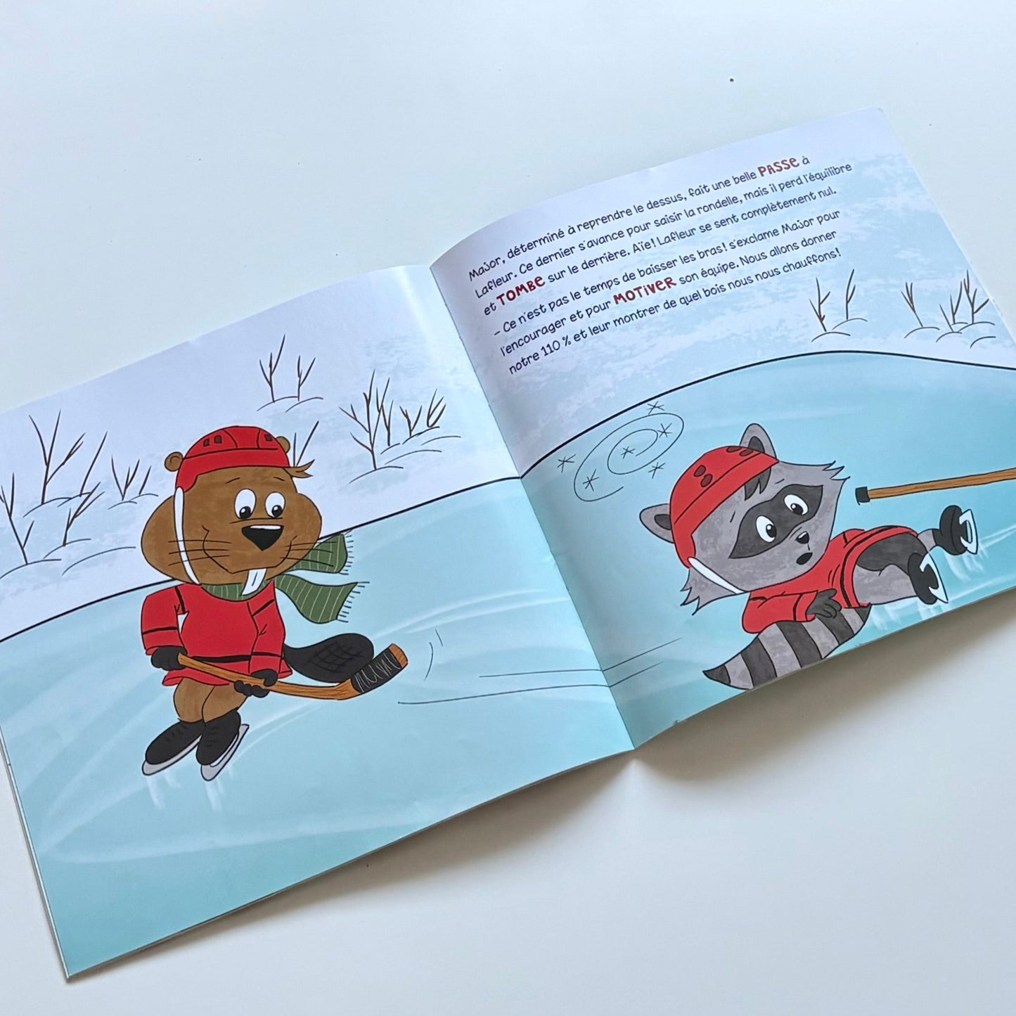 Livre - Et si on jouait au Hockey?