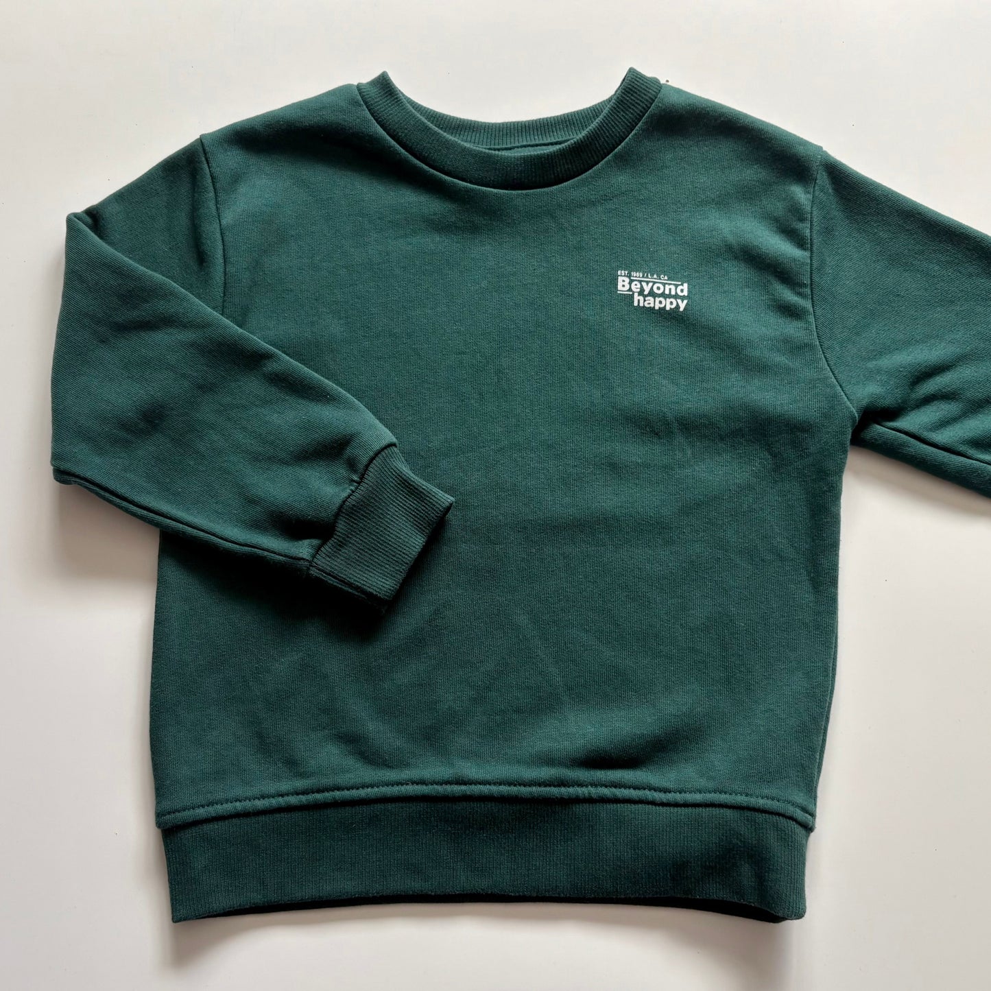 Crewneck Zara | 3-4 ans (fait grand)