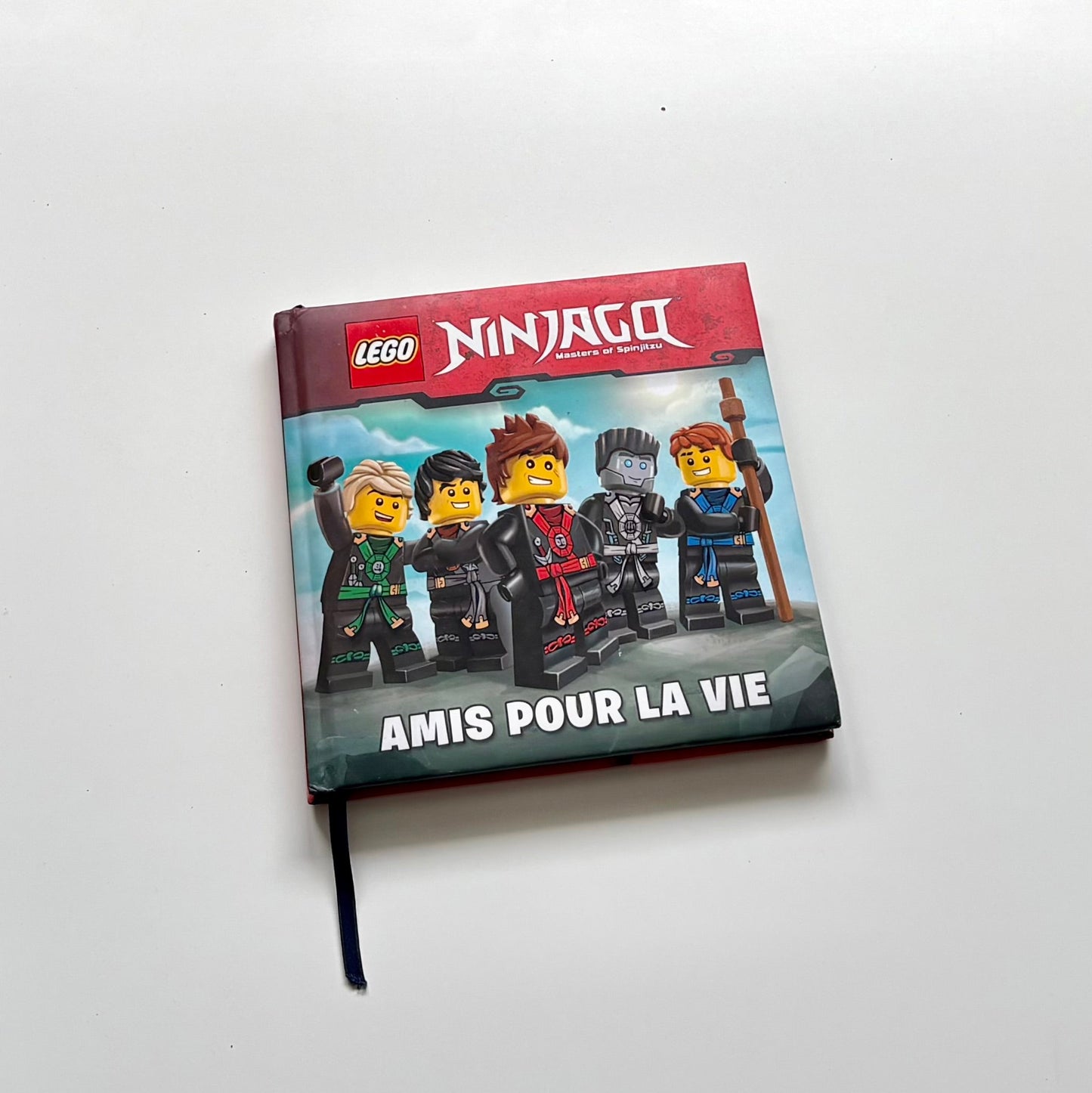 Livre - NINJAGO amis pour la vie