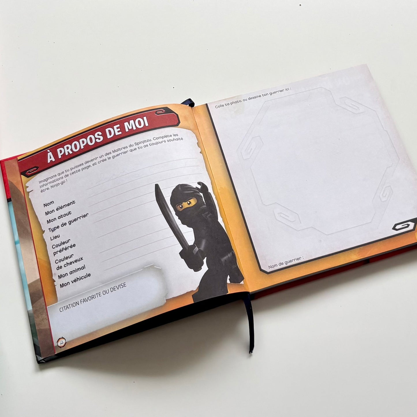 Livre - NINJAGO amis pour la vie