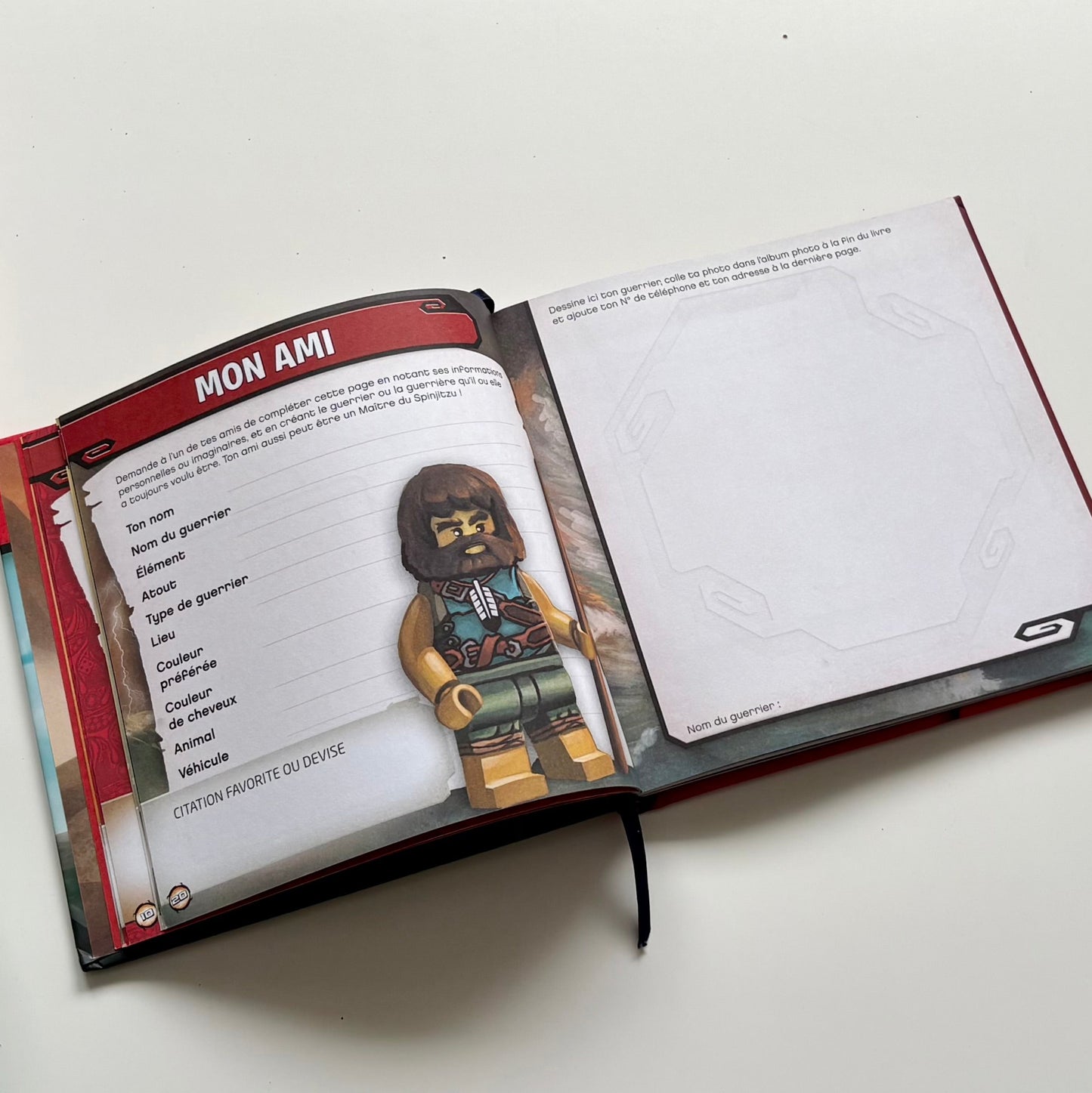 Livre - NINJAGO amis pour la vie