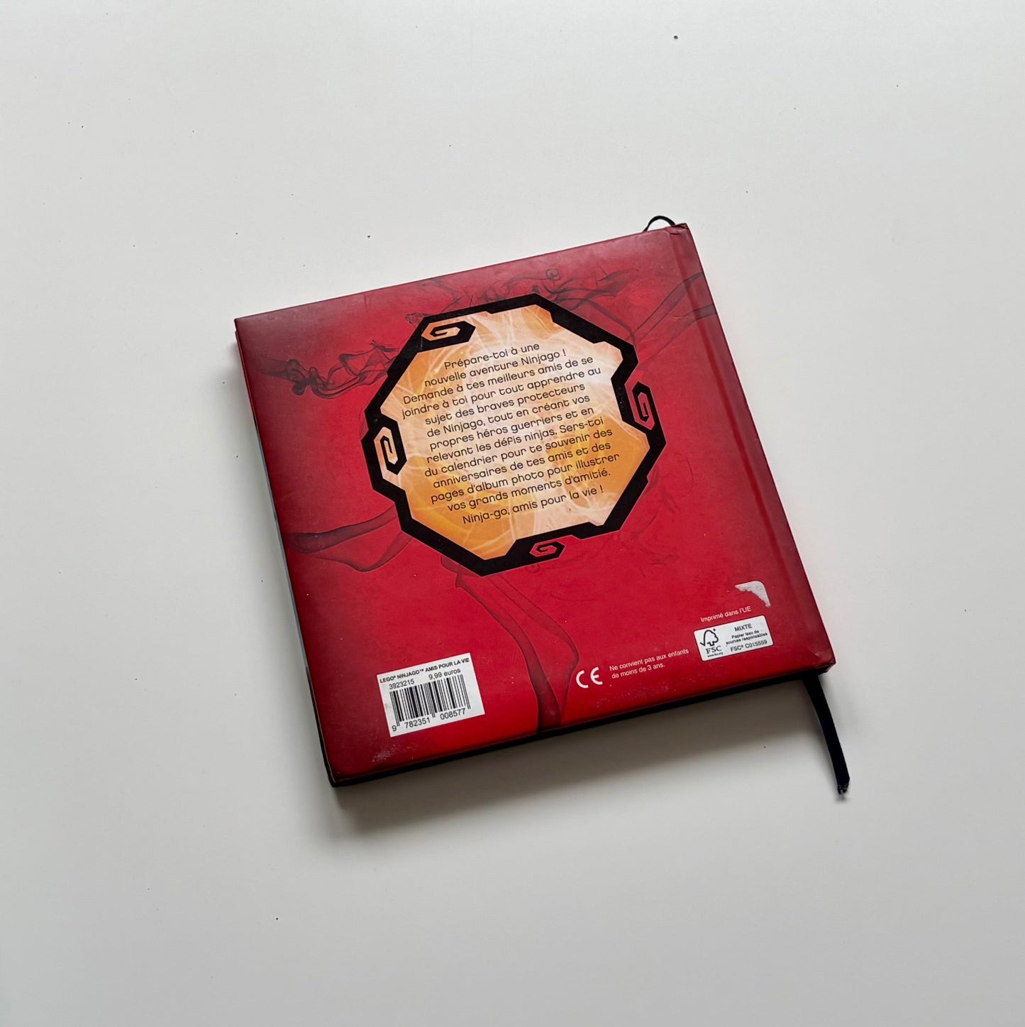 Livre - NINJAGO amis pour la vie