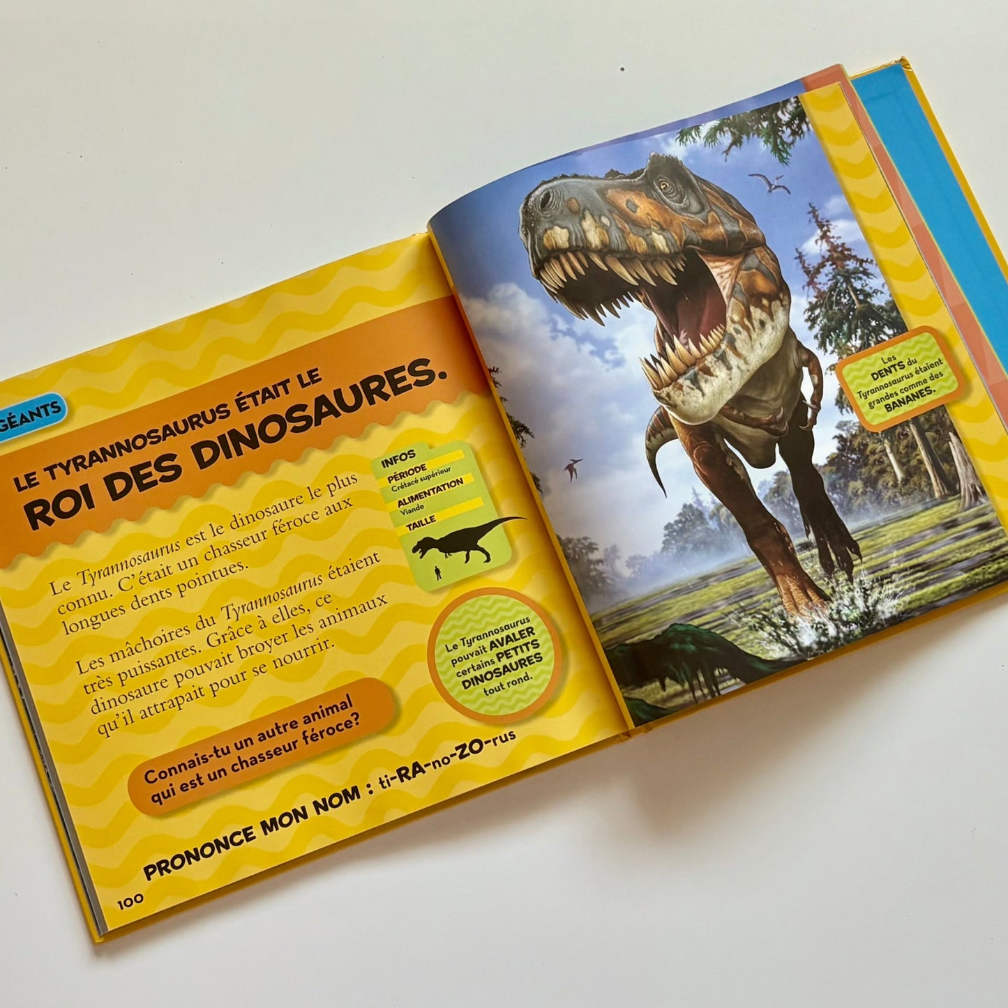 Livre - Mon grand livre de dinosaure (National géographique)