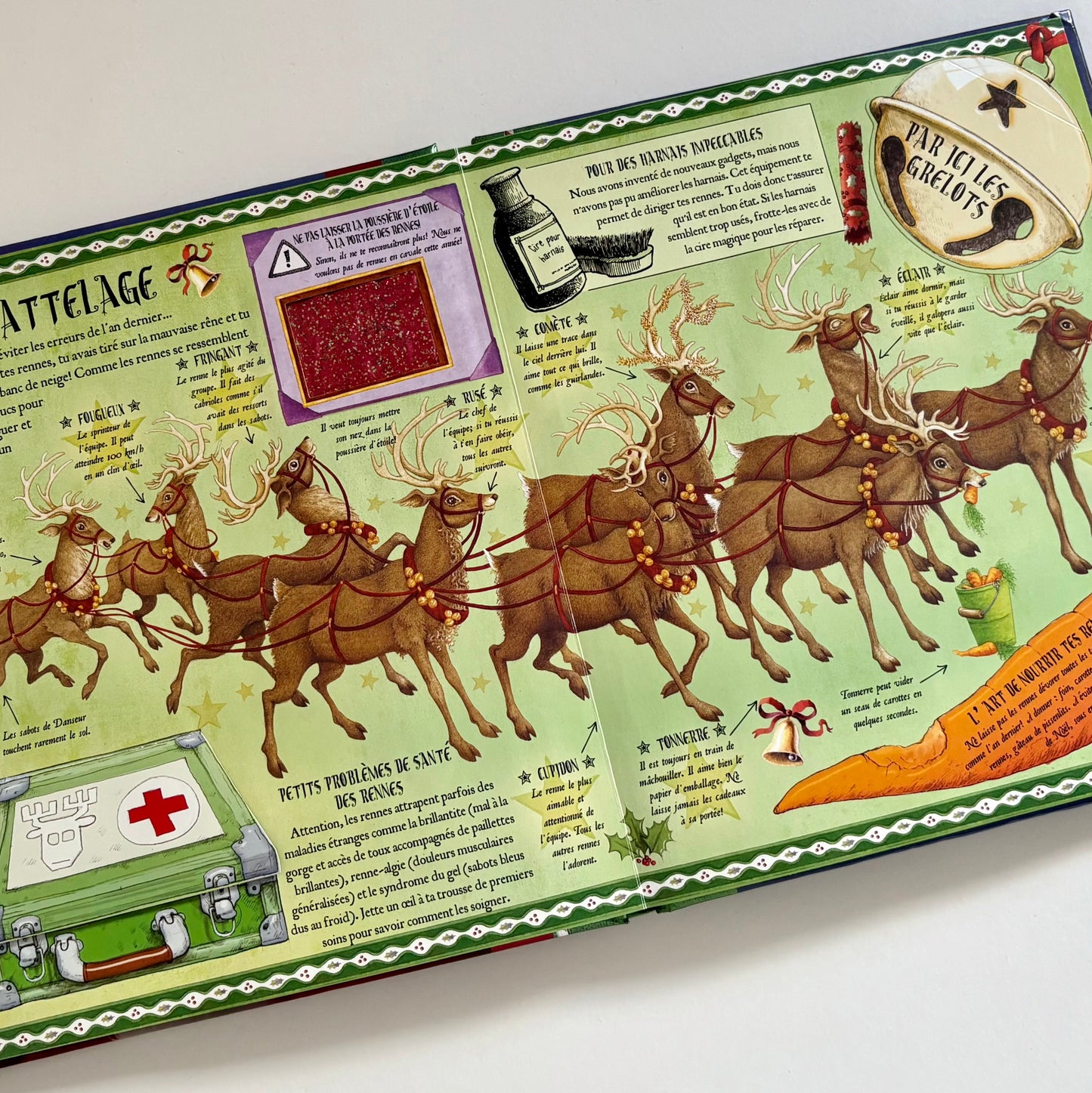 Livre - Le guide essentiel du Père Noël (avec volets à soulever et illustrations en 3D)