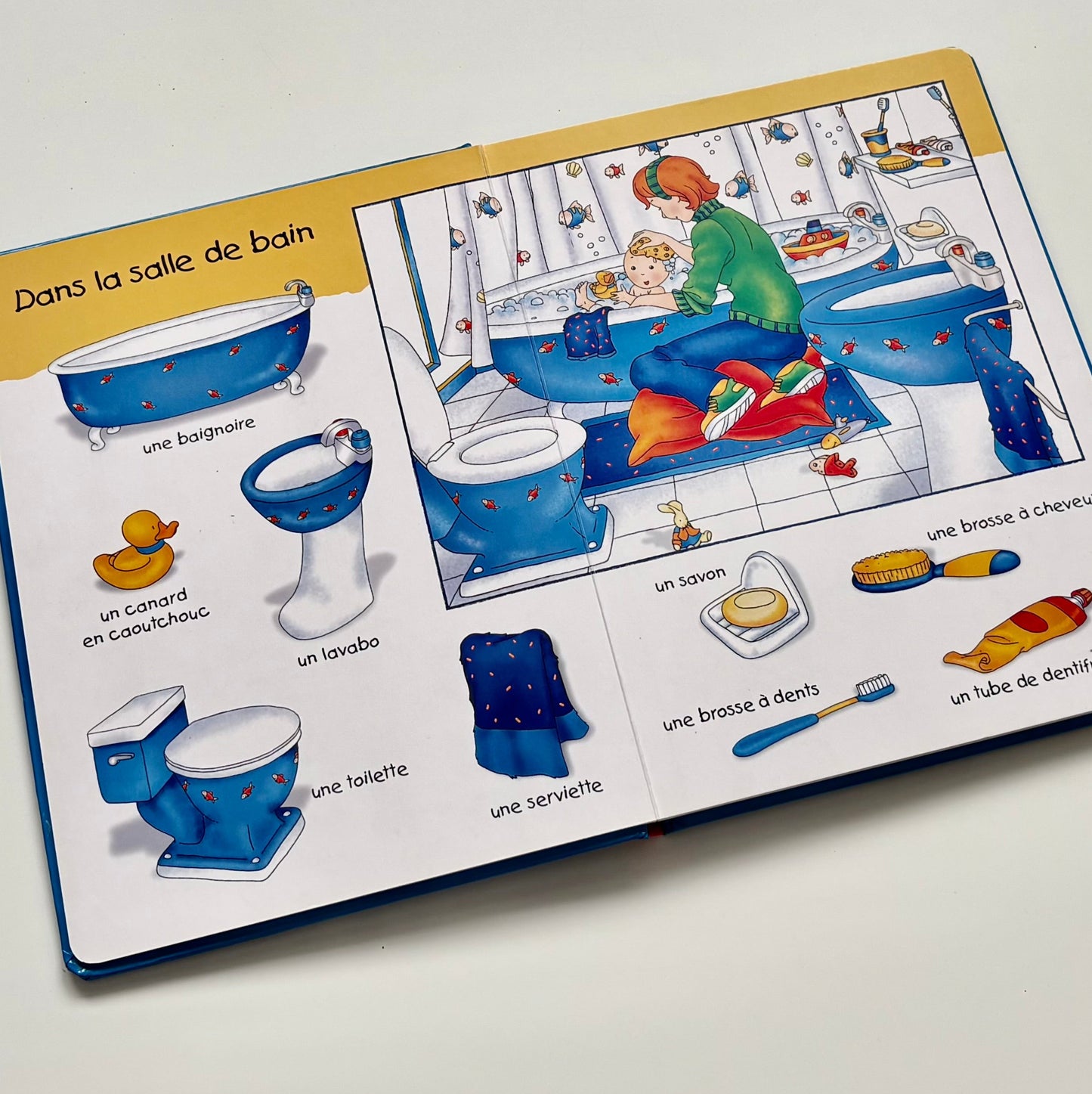 Livre cartonné - Caillou, mon grand imagier : Dans ma maison