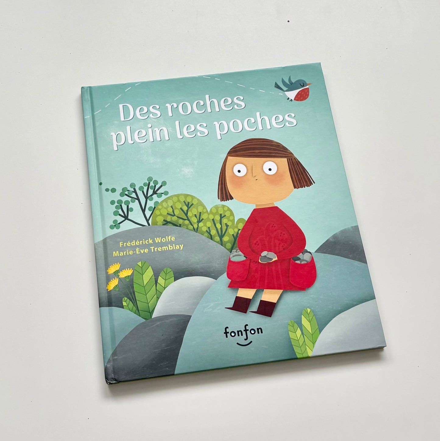 Livre - Des roches plein les poches