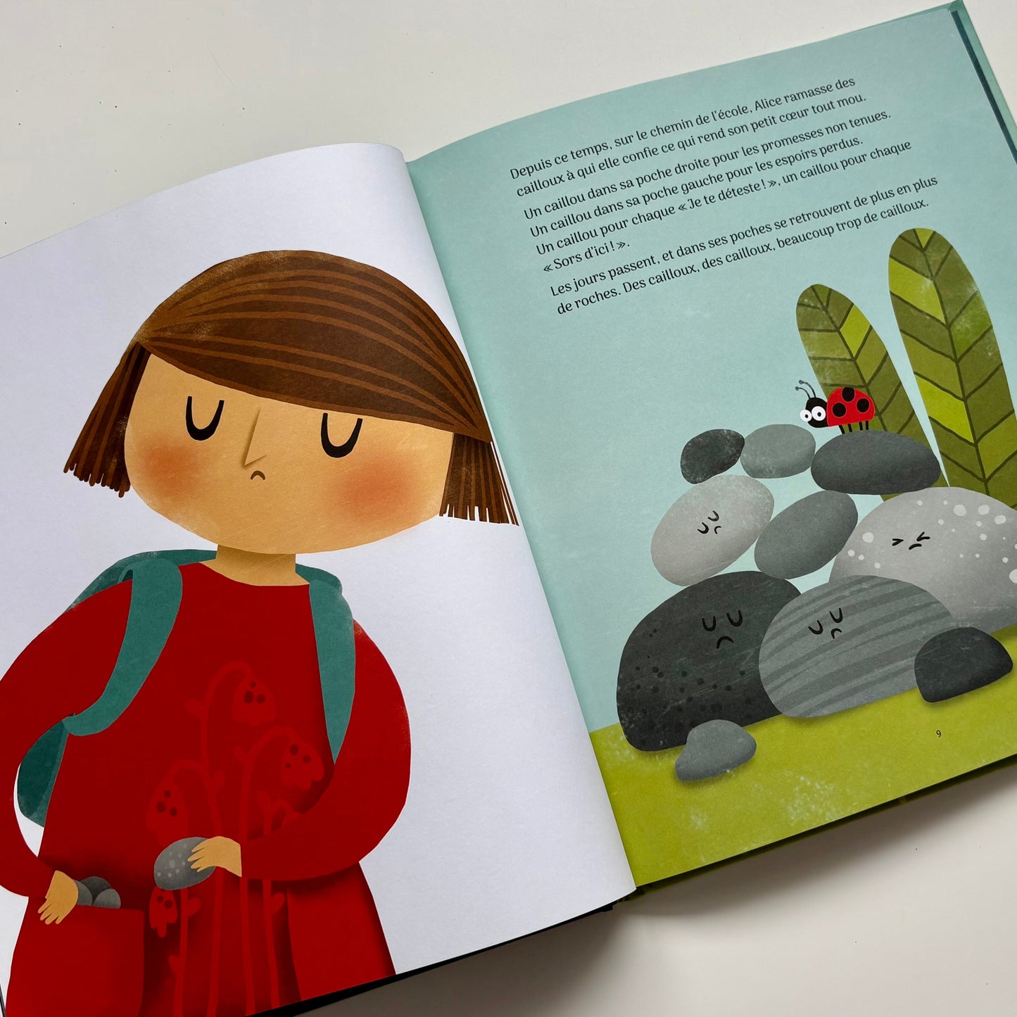 Livre - Des roches plein les poches