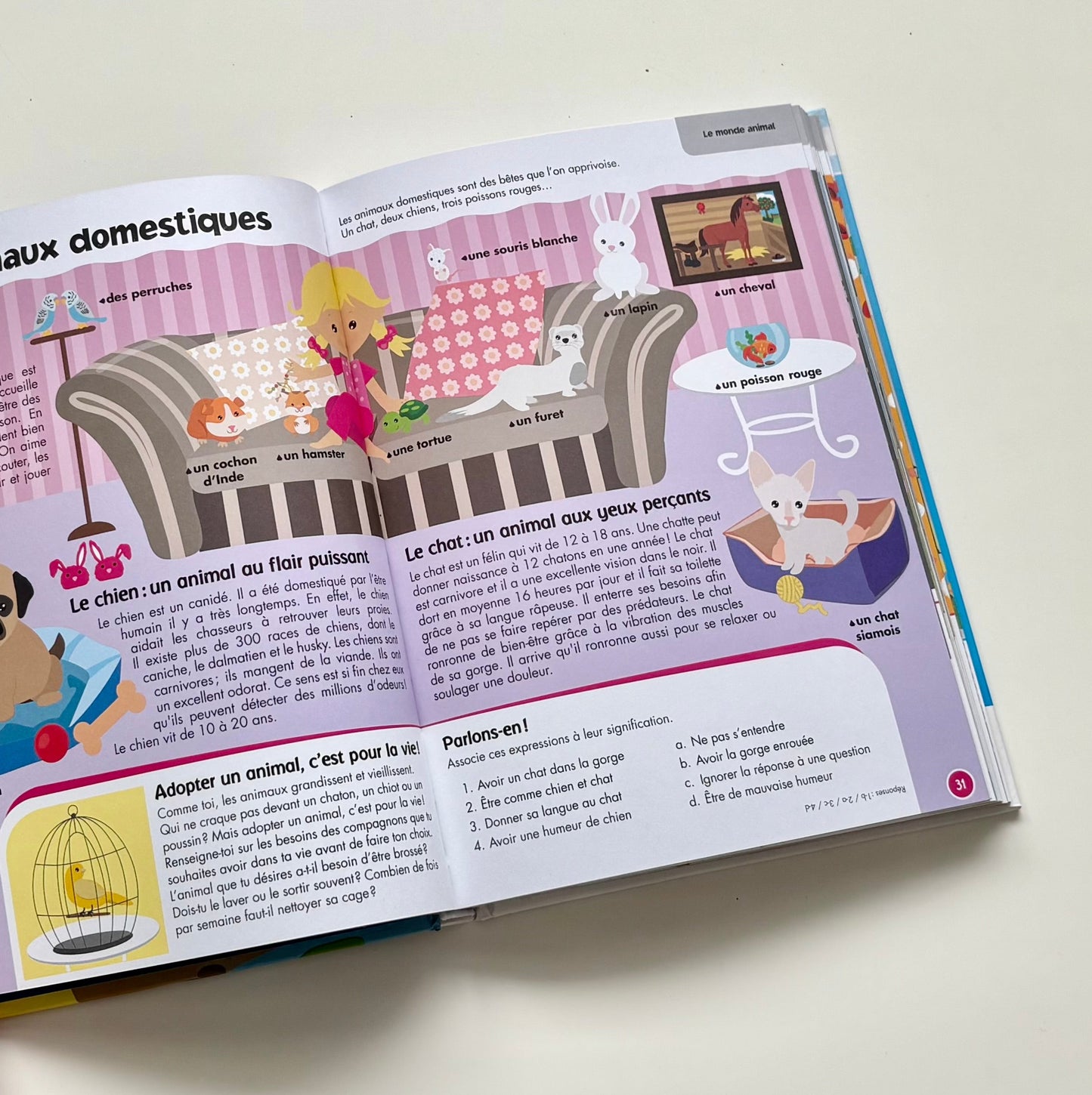 Livre - Ma mini encyclopédie: Le monde expliqué aux enfants