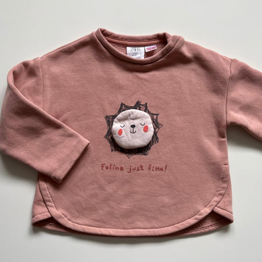 Pull Zara | 18-24 mois