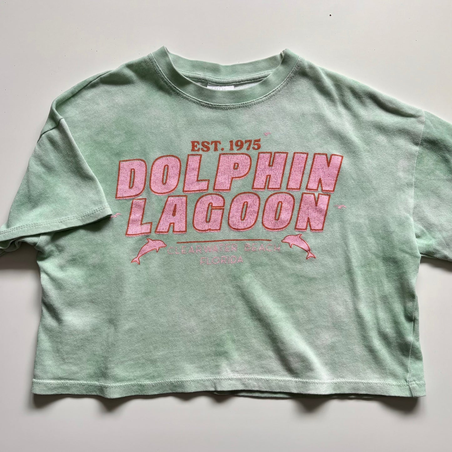 T-Shirt 'style crop top' Zara | 6 ans