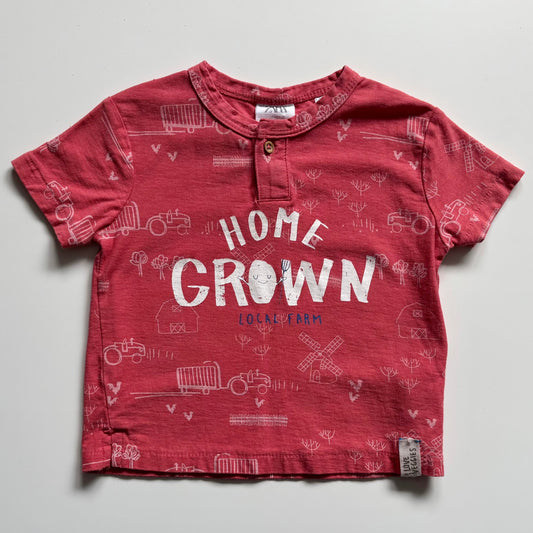 T-Shirt Zara | 6-9 mois