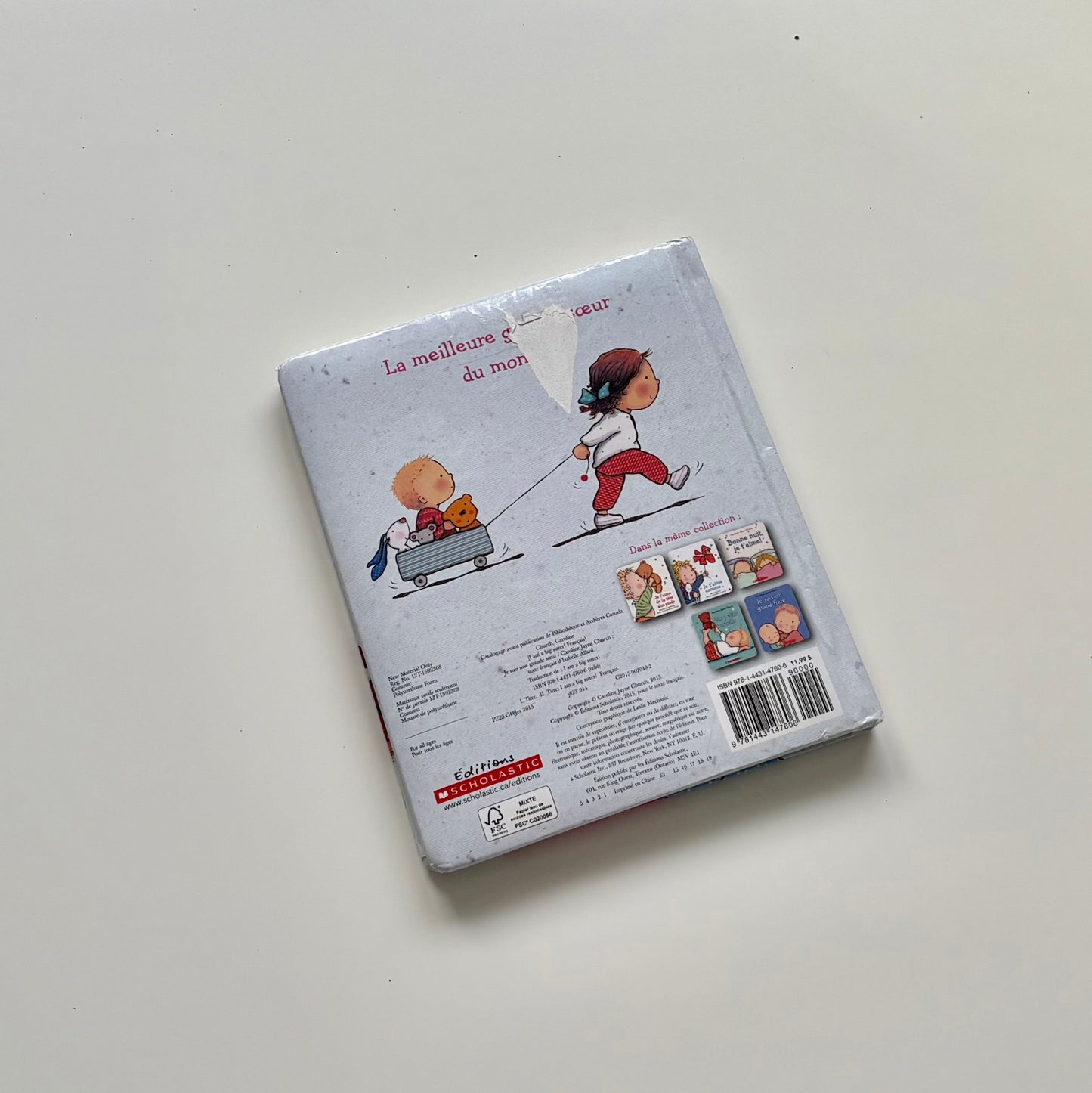 Livre cartonné - Je suis une grande soeur!