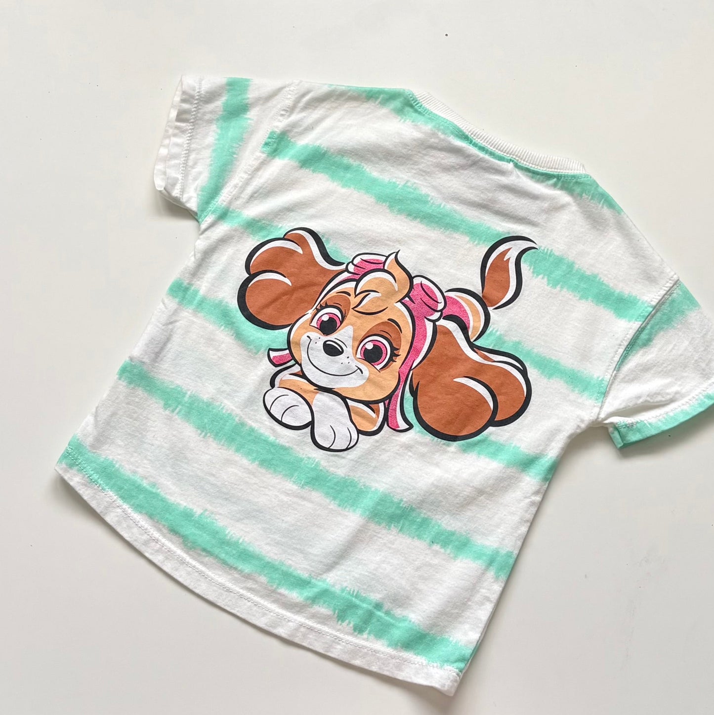 T-Shirt Zara x Paw Patrol | 18-24 mois (NEUF)